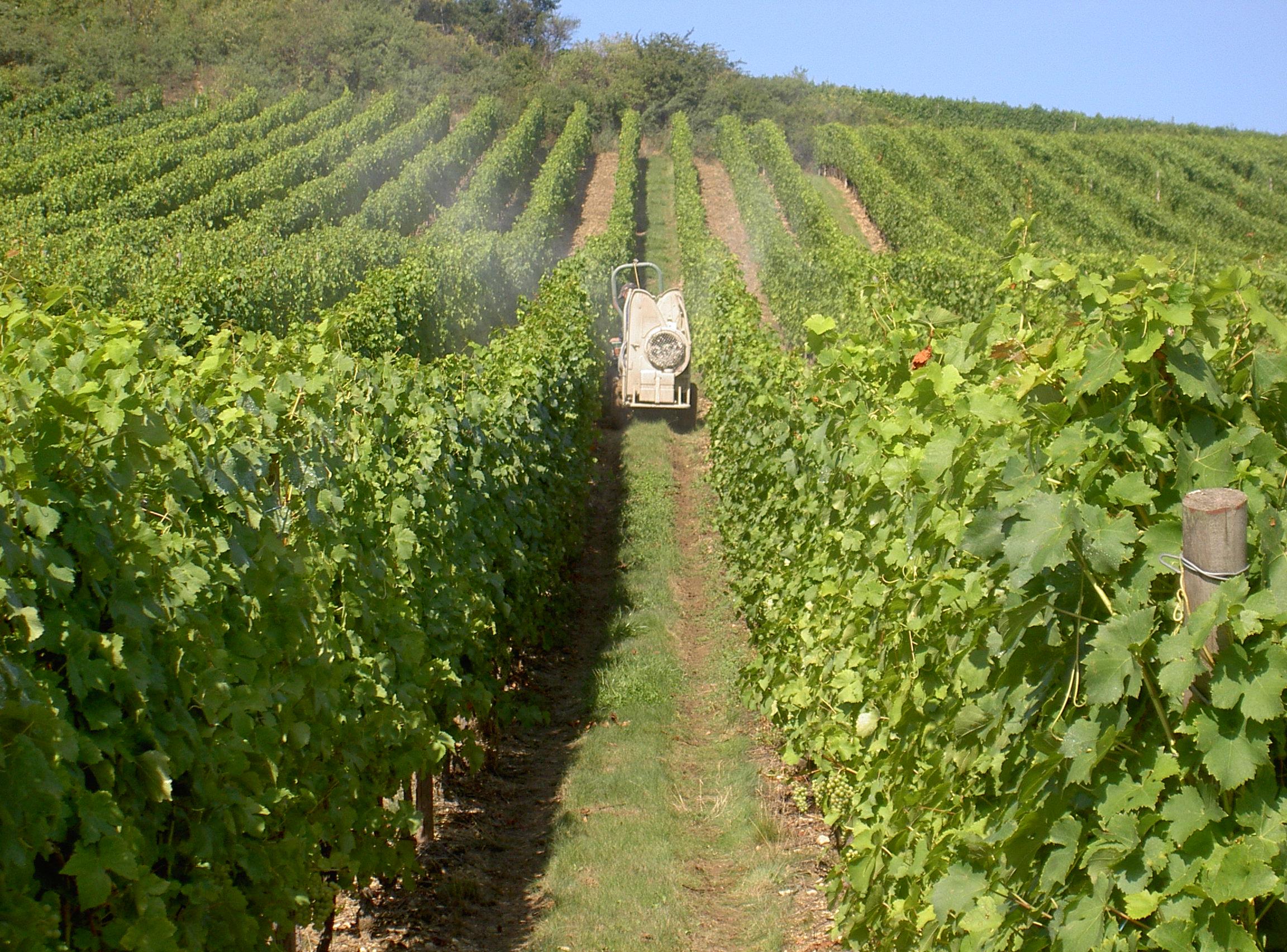 PICT0589.JPG (931 KB)